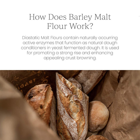 8 oz. Breadtopia Organic Diastatic Malt Powder | Non-GMO Malted Barley Flour | No Additives, No Sugar, & No Fillers |