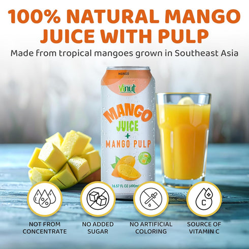 100% (16.57 oz, Pack 12), Vinut Mango Juice with Pulp fl of No Sugar Added, All Nature Mango Juice, Not From