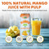 100% (16.57 oz, Pack 12), Vinut Mango Juice with Pulp fl of No Sugar Added, All Nature Mango Juice, Not From
