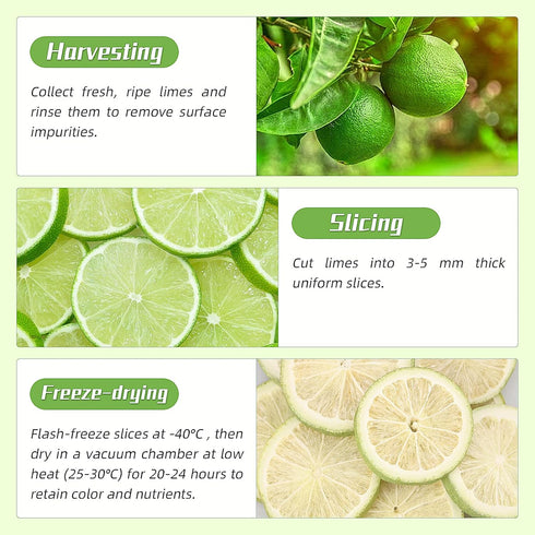 Haomly 40 Desserts,100% Freeze-dried Seedless Lime Slices,About Slices,Dehydrated Limes for Cocktails,Tea, Snacking