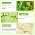Haomly 40 Desserts,100% Freeze-dried Seedless Lime Slices,About Slices,Dehydrated Limes for Cocktails,Tea, Snacking