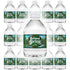 Poland 100% 8oz (Pack 30, 240 Oz) Spring Natural Spring Water, Bottle of Total of Fl