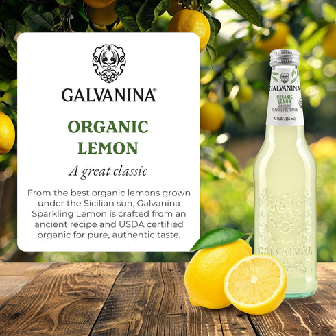 12 oz (Pack 1) Galvanina Lemon Premium Organic Italian Sparkling Soda, fl Glass Bottle of | Crisp Sicilian Lemon Soda