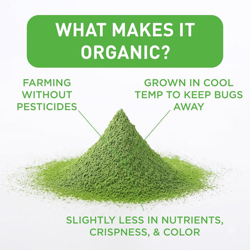 Aiya Certified USDA Organic Culinary Grade Matcha Green Tea Powder - 100g Bag for Baking, Lattes, Smoothies
