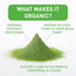 Aiya Certified USDA Organic Culinary Grade Matcha Green Tea Powder - 100g Bag for Baking, Lattes, Smoothies