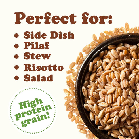 6 Food to Live Pearled Farro Grain, Pounds - Italian Whole Grain, Good Source of Dietary Fiber, Protein and Iron