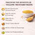 4 oz SPICY PANTRY Yellow Mustard Seeds Non-GMO, Gluten Friendly Spice for Pickles, Sauces, Tempering, Marinades & Spice
