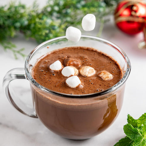 0.95 Oz (10 Pack) Bare Life: Dairy Free Peppermint Hot Cocoa Mix | Single Serving | Gluten Free, Vegan, Organic, Plant