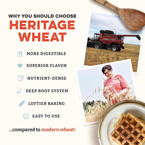 7-Grain (5 lbs) Sunrise Flour Mill USDA Organic Heritage Pancake Mix | Enjoy Fluffy & Tasty Waffles | Easier to Digest