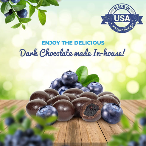 3 LBS Gourmet Dark Chocolate Blueberries by Its Delish, Bulk | Dark Chocolate Covered Fruit with Real Dried Blueberries