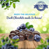 4 LBS Gourmet Dark Chocolate Blueberries by Its Delish, Bulk | Dark Chocolate Covered Fruit with Real Dried Blueberries