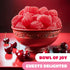 1 Pack Cherry Slices Candy - Pound - Chewy Candy for Office Bowls & Holiday Buffets - Gelatin Free Jelly Candies