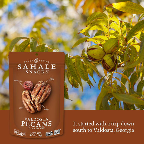 4 (Pack 6) Sahale Snacks Valdosta Pecans Glazed Mix, Ounces