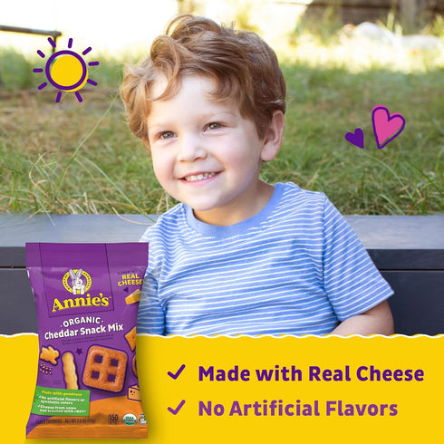 2.5 oz (Pack 12) Annie's Organic Cheddar Snack Mix With Assorted Crackers and Pretzels, Bag