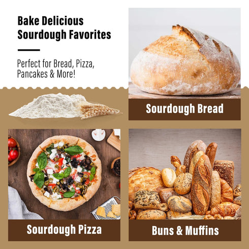 12g MY RUSTIC ROOTS All Natural & Organic San Francisco Sourdough Starter Culture - Beginner Friendly Sourdough Bread