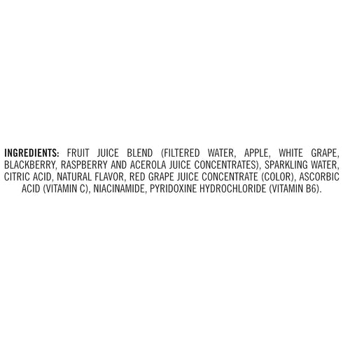 8.4 oz 4 Count IZZE Sparkling Juice, Blackberry, Cans