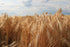 (3.75, Early Morning Harvest Organic Rye Flour Made from Organic, Non-GMO Rye Stone Ground Flour for Bread and Baking