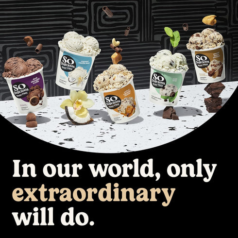 SO DELICIOUS Frozen 1 Dairy Free Coconutmilk Dessert, Cookie Dough, Vegan, Non-GMO Project Verified, Pint