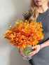 15 Stems of Fresh Orange Orchids - Perfect Gift for Any Occasion