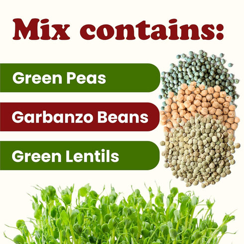 1 Food to Live Rainbow Sprouting Beans Mix, Pound Raw, High Germination Rate, Vegan