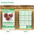 Plant Gift 100g/3.52oz 100% Water Chestnut Powder Natural Pure Water Chestnut Flour for Baking & Drinks,| Chef-Inspired