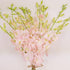 10 Athenas Garden Fresh Cut Peachy Pink Orchids Stems Dendrobium Orchids Flowers with Vase and Rocks