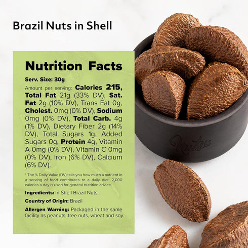 Packed (1 LB) NUTS U.S. Brazil Nuts In Shell | No Added Colors and No Artificial Flavors | Non-GMO and Natural | Fresh