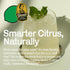 13 oz (1 Lime Super Juice for Cocktails yuice by YUZUCO, Fresh-Tasting Bottled Lime Juice, Bottle), For Bars