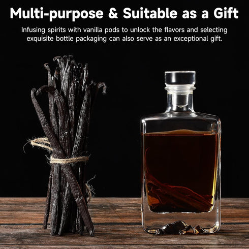 10 Counts SPICEEL Organic Madagascar Vanilla Beans Grade A Vanilla Pods for Making Extract, Whole Vanilla Beans