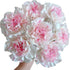 38 Fresh Cut Flowers Yukarri cherry Carnations Stems Hydroponic Flower Arrangement Gifts for home decoration birthdays