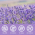 5oz/142g Olvvla - Dried Lavender Flowers - - Fragrant Food-Grade Lavender Buds - Perfect for Tea, Baking, Lemonade