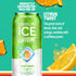 Vitamins,16 oz (Pack 12) Sparkling Ice Caffeine Citrus Twist Sparkling Water with Caffeine, Zero Sugar