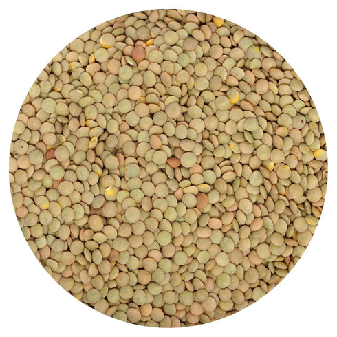 Green Lentils, 4 Pound Bulk Bag