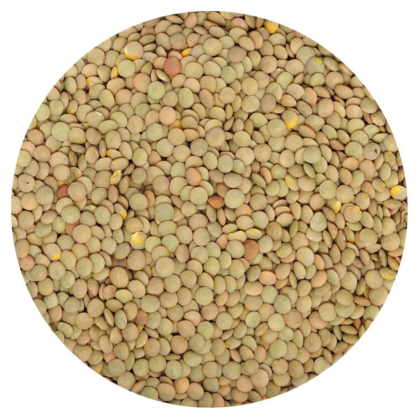 Brown Lentils, 2.5 Pound Bulk Bag