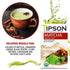 Tipson Organic Matcha Green Tea - Masala Chai Flavor, 25 Foil Enveloped Double Chambered Bags - Keto/Paleo