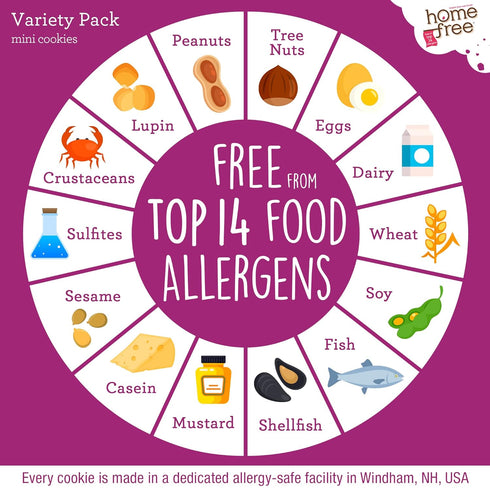 Homefree Mini Cookies Variety Pack, Gluten Free, Nut Free, Vegan Snack Packs (Pack of 10)
