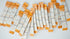 300g Pack BeeFamily - Ginseng Honey Boostik Multi
