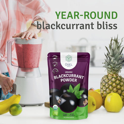 SEL BERRY 3oz Organic Black Currant Powder USDA Certified - No Sugar Added, Freeze Dried, Black Current Powder Organic