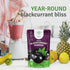 SEL BERRY 3oz Organic Black Currant Powder USDA Certified - No Sugar Added, Freeze Dried, Black Current Powder Organic