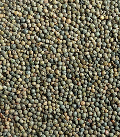 Sabarot 17.6 oz (500 French AOP Green Lentils from Le Puy, g)