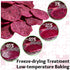 Brzhvura Packed 100g Dried Dragon Fruit Slices, Soft and Chewy, No Sugar Added Dried Dragon Fruit for Garnishing