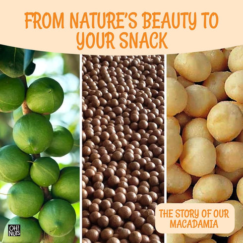 1 lb Oh! Nuts Roasted Salted Macadamia - - Macadamia Nuts Salted - Premium Roasted Macadamia