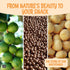 1 lb Oh! Nuts Roasted Salted Macadamia - - Macadamia Nuts Salted - Premium Roasted Macadamia