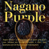 (8.8oz) Rare Japanese Dried Giant Grapes (Nagano Purple) - Refined Sweetness & Elegant Aroma - Luxury Jumbo Raisins