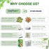 120 100% Pack 3 LeafLea Bitter Melon Tea Bags, Pure Bitter Melon Fruit. Supports Wellness and Digestion |