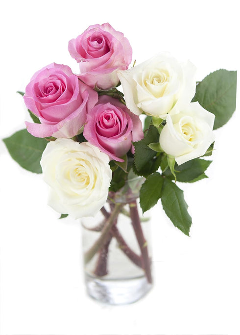 KaBloom - Bouquet of Long Stemmed Pink and White Roses (Half Dozen)