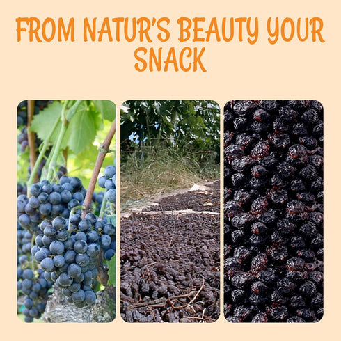 1 lb Packed Oh! Nuts Fruity Raisin Currants - Dried Currants - - No Sugar Added - Dehydrated Currants Fruit Bites