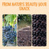 1 lb Packed Oh! Nuts Fruity Raisin Currants - Dried Currants - - No Sugar Added - Dehydrated Currants Fruit Bites