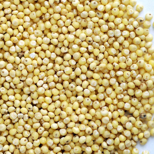 5 Lb Organic Hulled (Husk Removed) Seeds: - Non-GMO Cereal Grain - Make Millet Beer, Grind Millet Flour, Cereal, Bird