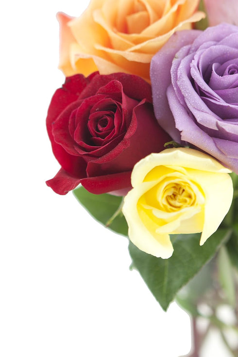 Dozen) KaBloom PRIME NEXT DAY DELIVERY - Rainbow Roses (Half - With Vase .Gift for Birthday, Sympathy, Anniversary, Get